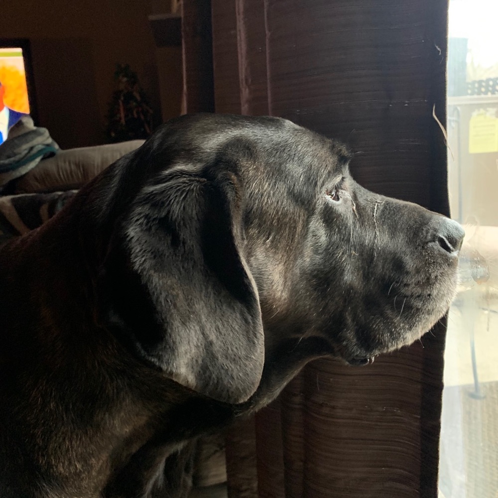 Meet your Posher, Mark